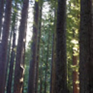 Meet your Posher, Arki